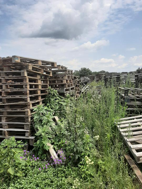 pallets-6041254_960_720.jpg